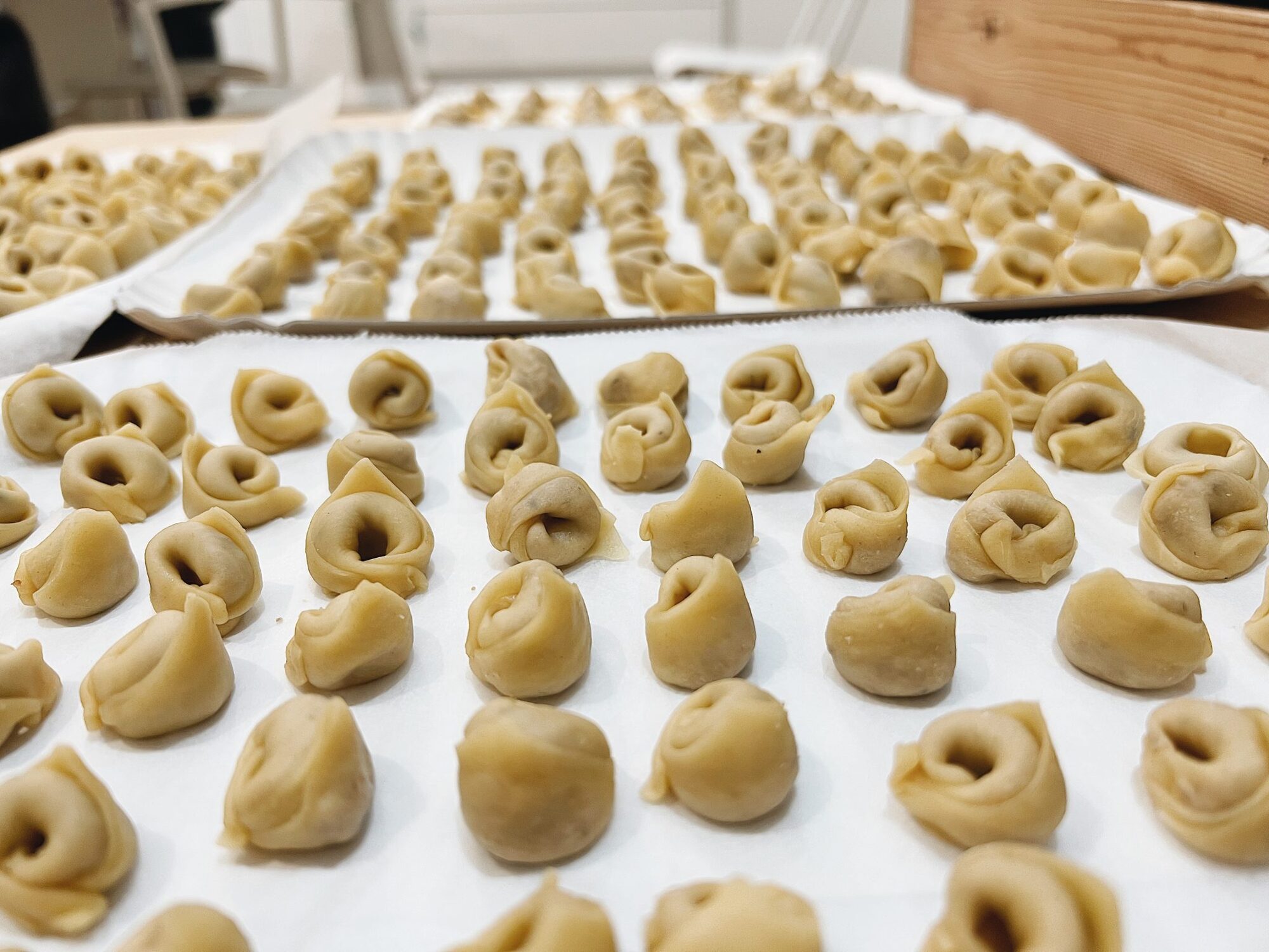 Handmade tortellini lined up on trays of baking paper